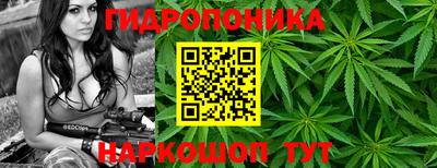 альфа пвп Краснознаменск