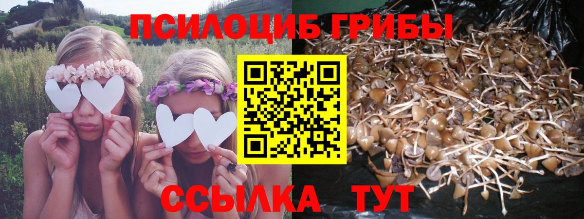 Псилоцибиновые грибы GOLDEN TEACHER Ишим
