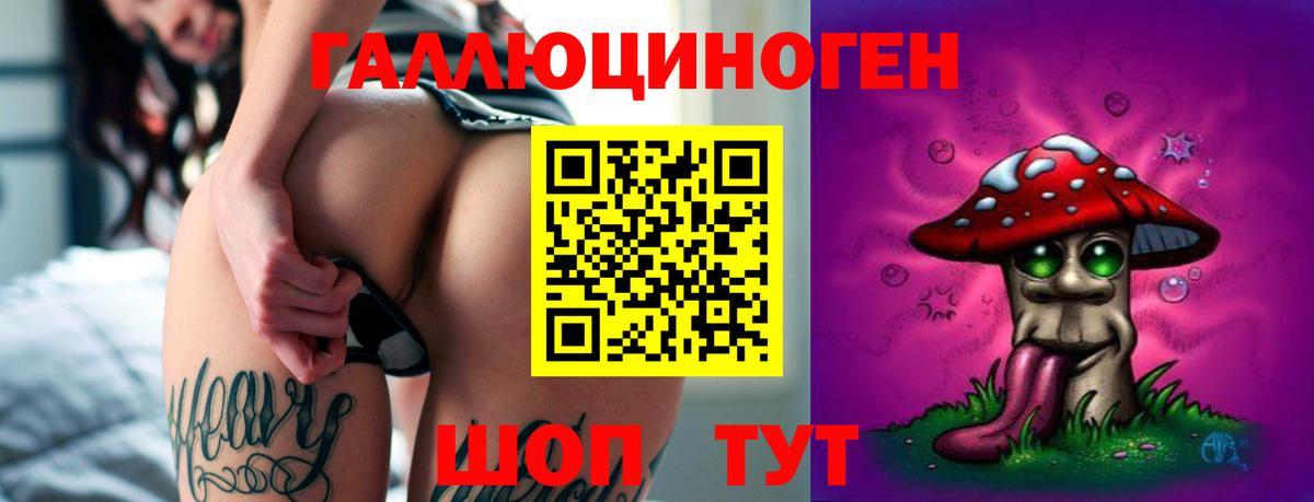 Псилоцибиновые грибы MAGIC MUSHROOMS  Вход с VPN  Ишим  что такое   Псилоцибиновые грибы GOLDEN TEACHER 